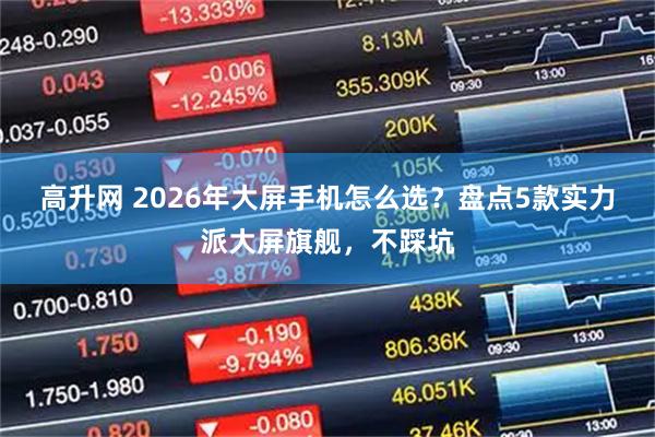 高升网 2026年大屏手机怎么选？盘点5款实力派大屏旗舰，不踩坑