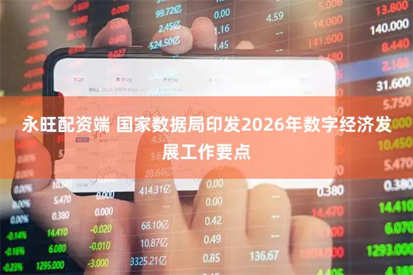 永旺配资端 国家数据局印发2026年数字经济发展工作要点