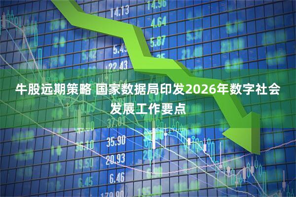 牛股远期策略 国家数据局印发2026年数字社会发展工作要点