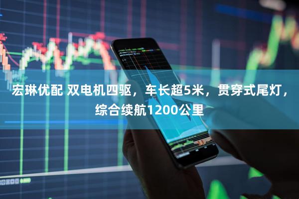 宏琳优配 双电机四驱，车长超5米，贯穿式尾灯，综合续航1200公里