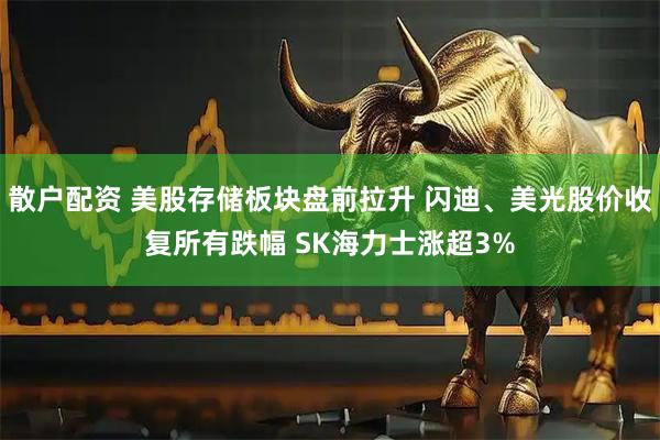 散户配资 美股存储板块盘前拉升 闪迪、美光股价收复所有跌幅 SK海力士涨超3%